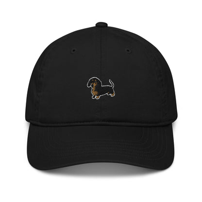 Dachshund Cap